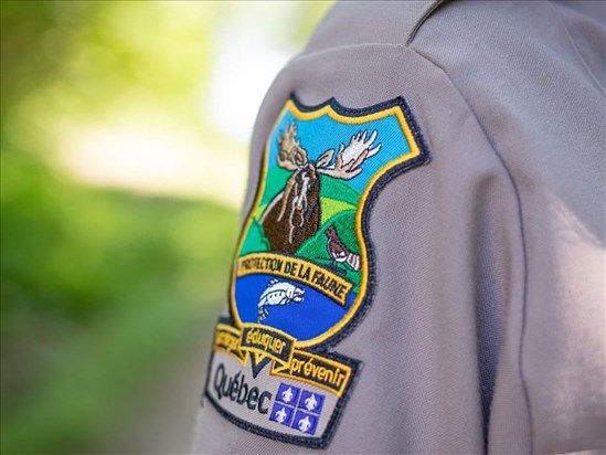 La Fédération québécoise des chasseurs et pêcheurs tire la sonnette d’alarme