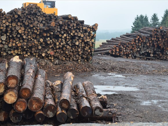 L’industrie forestière frappée à nouveau par des tarifs