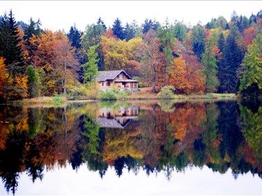Chalet au bord du Réservoir Baskatong : 8 activités à ne pas manquer