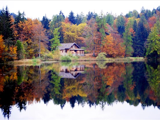Chalet au bord du Réservoir Baskatong : 8 activités à ne pas manquer