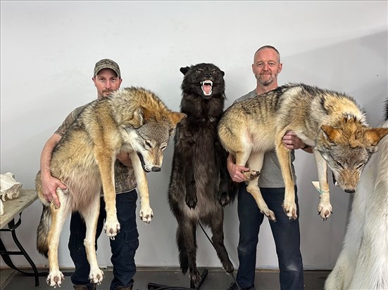 Le savoir-faire de Bilodeau Canada brille dans Frankenstein