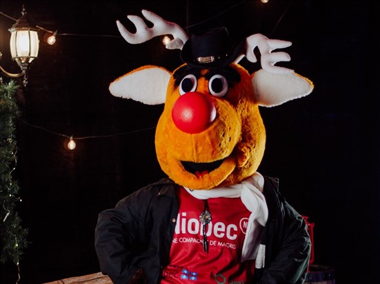 Fin à Dolbeau-Mistassini, continuité à Normandin