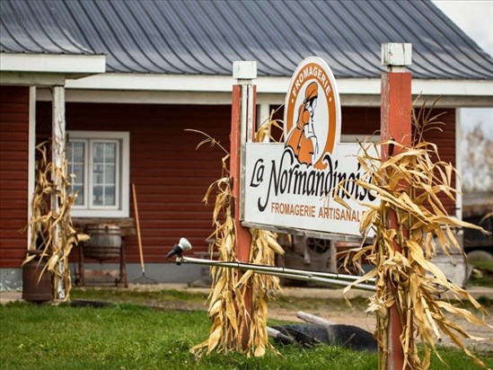 Un fromage de Normandin en vedette partout