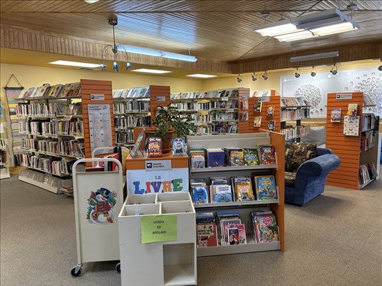 Une rencontre littéraire avec Lisa-Marie Gagnon à Albanel