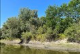 L’heure est à la protection des bandes riveraines
