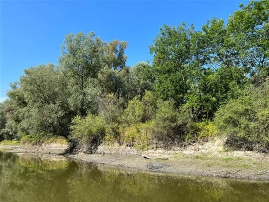 L’heure est à la protection des bandes riveraines