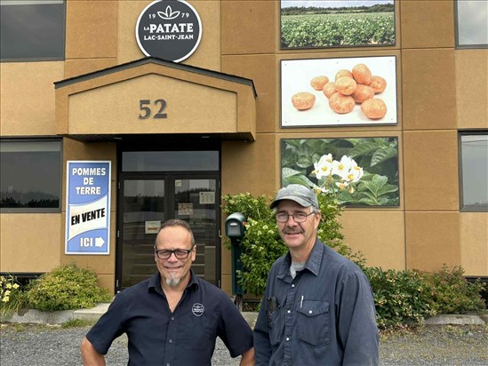 Les cultures de patates résistent aux intempéries
