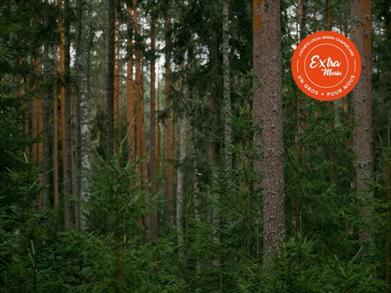 Les incontournables de la chasse 2025