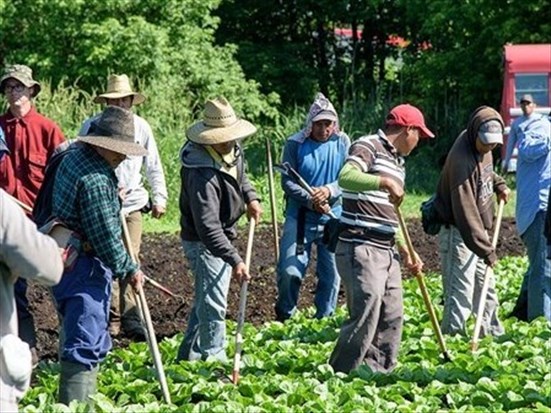  Un sondage fait état de perspectives sombres pour la région