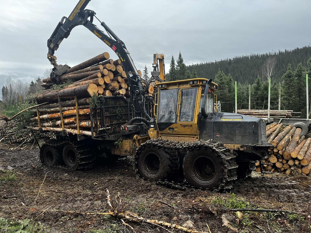 Le groupe de travail du gouvernement fédéral entame ses consultations