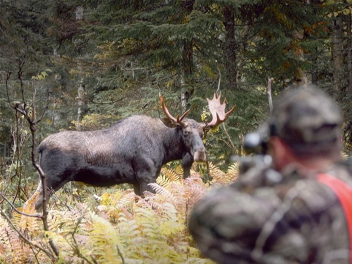 Une saison record au Québec en 2025