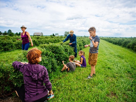 Québec assouplit ses règles pour stimuler l’agrotourisme