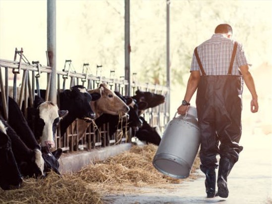 L'importance des producteurs de lait soulignée lors d’une assemblée
