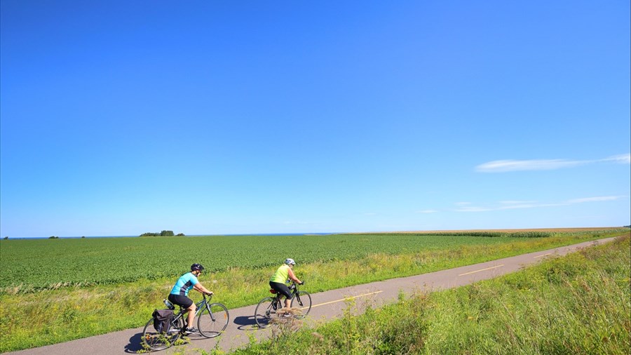 Un premier sommet du vélo prévu dans la région