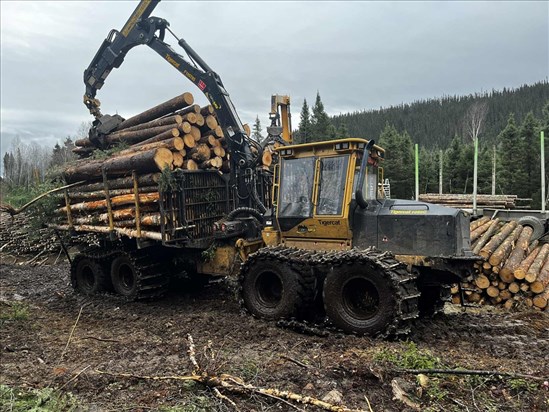 122,5 M$ pour soutenir les travailleurs touchés par les tarifs