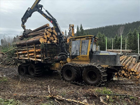122,5 M$ pour soutenir les travailleurs touchés par les tarifs