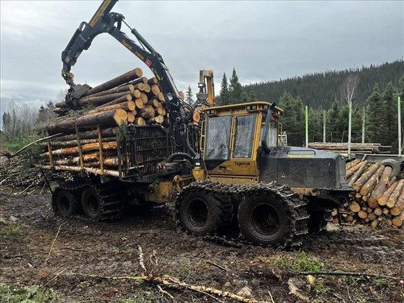 122,5 M$ pour soutenir les travailleurs touchés par les tarifs