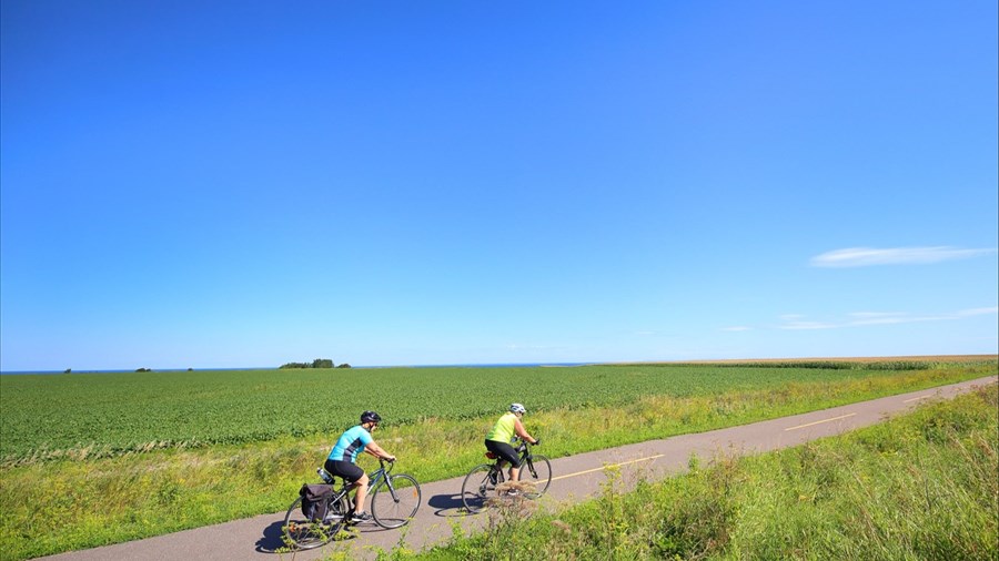 Vélo Québec lance une nouvelle plateforme numérique pour le cyclisme