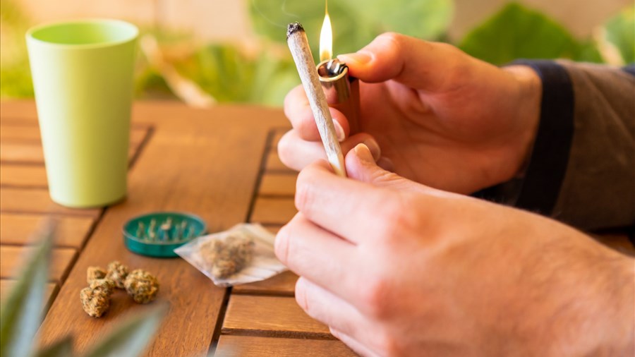La consommation de cannabis en hausse au Québec depuis la légalisation