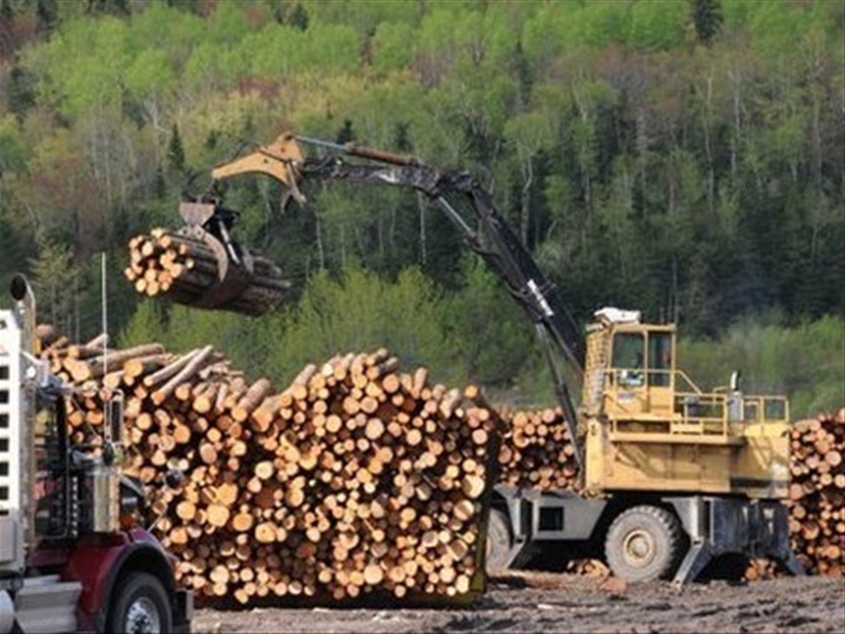 Une nouvelle formule pour le Grand rassemblement de la forêt