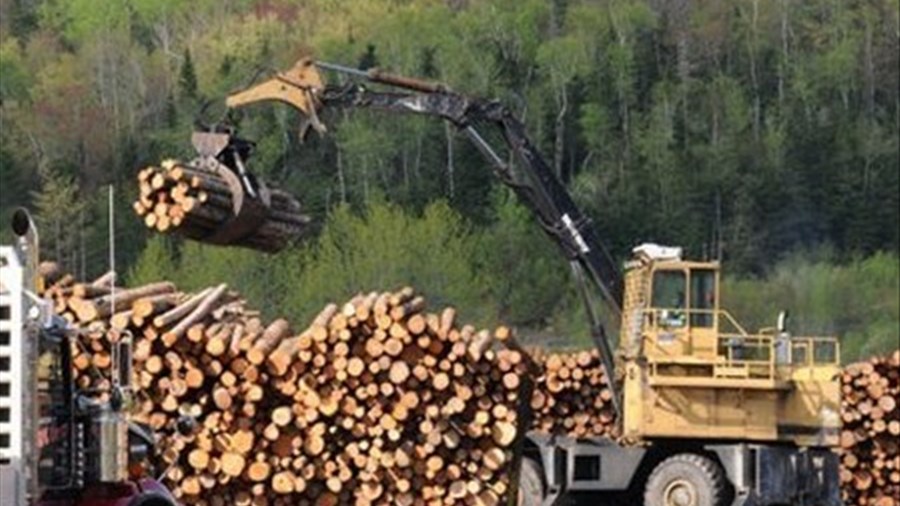 Une nouvelle formule pour le Grand rassemblement de la forêt