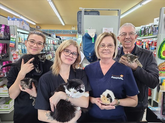 Après 40 ans d’activité, Michel Bouchard souhaite passer le flambeau