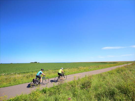 Le vélo s’impose comme un pilier de la mobilité au Québec