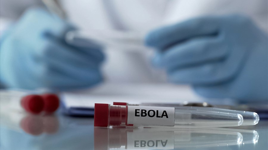 Le Canada renforce ses mesures frontalières face au risque d’Ebola