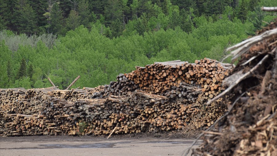 Un soulagement partiel pour l’industrie forestière régionale