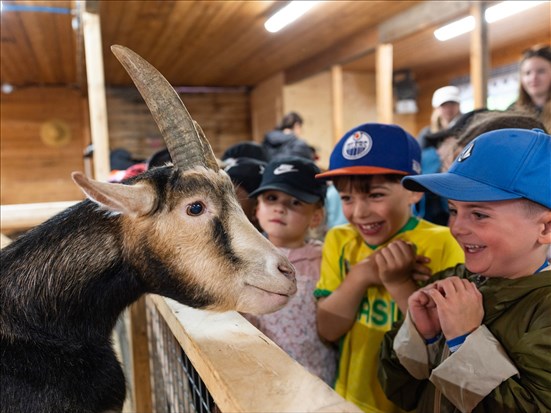3 M$ pour de nouvelles installations au Zoo sauvage de Saint-Félicien