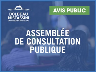 Assemblée de consultation publique