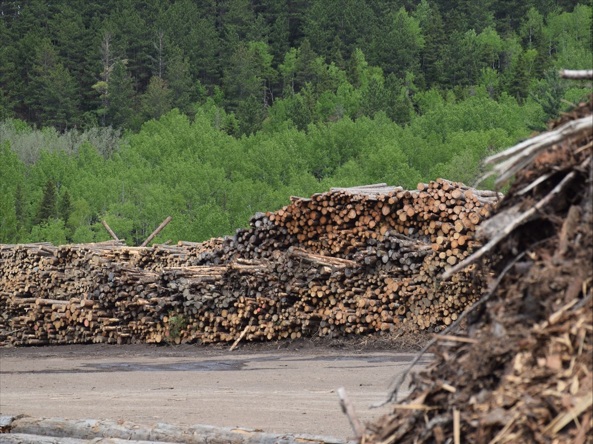 Québec investit 120 M$ pour soutenir l’industrie forestière