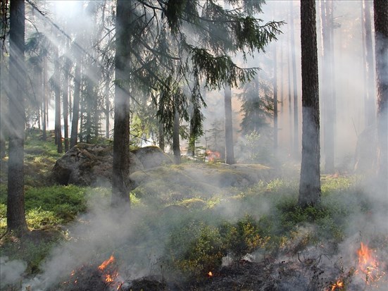 Levée de l’interdiction d’allumer des feux à ciel ouvert dans la région