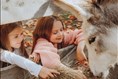 Plusieurs activités ce week-end dans la MRC de Maria-Chapdelaine