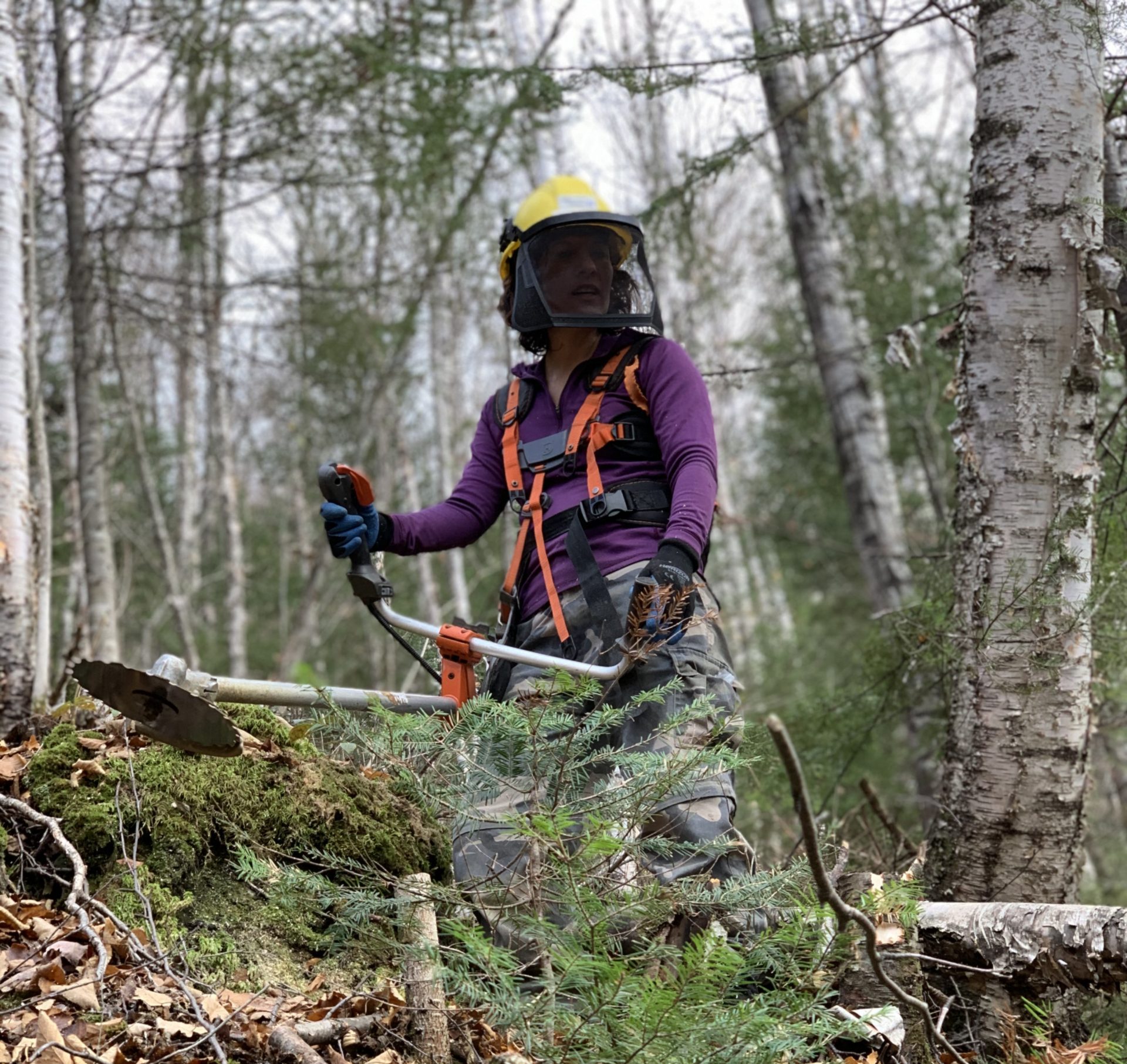 Mont des Allemands un site exceptionnel qui attire les adeptes